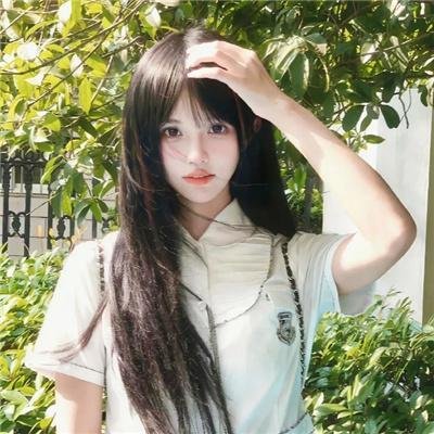 梦寻桃花源